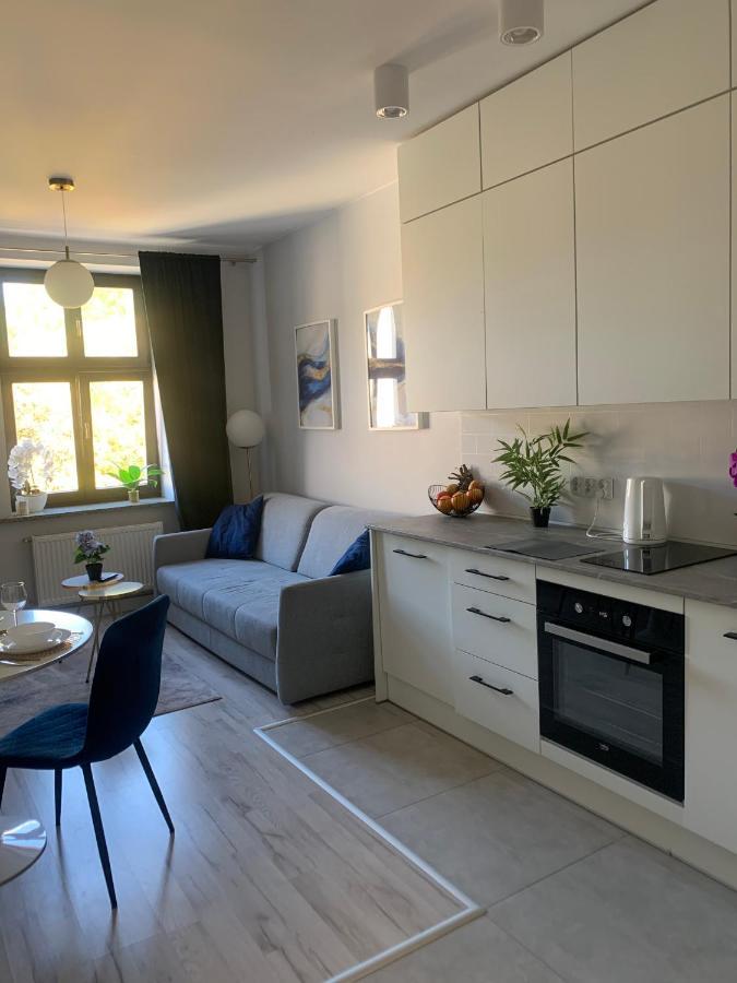 Apartament W Centrum Miasta Łódź Kültér fotó